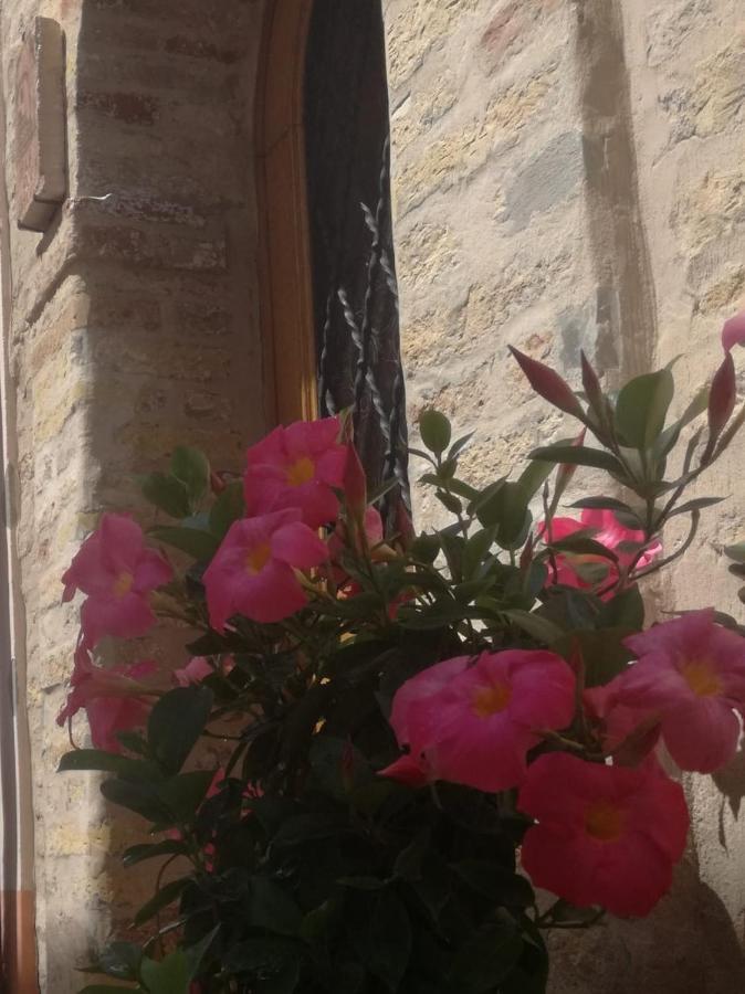B&B Porta Girone Civitanova Alta Exterior foto